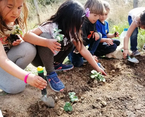 Aula de Natura amb nenes i nens