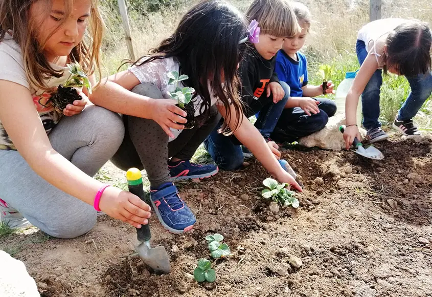 Aula de Natura amb nenes i nens