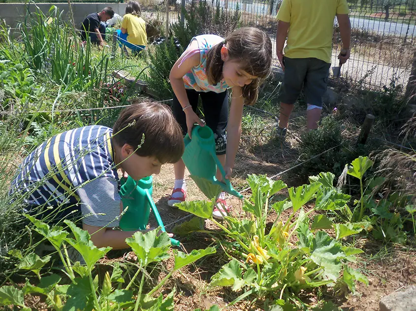 Nenes i nens traballant a l'hort ecològic escolar