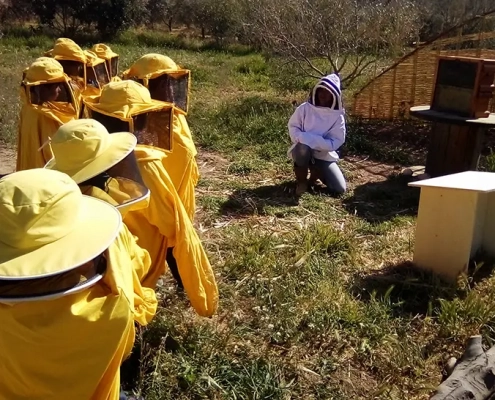 Foto de nenes i nens a l'activitat del món de les abelles a Cal Fèlix