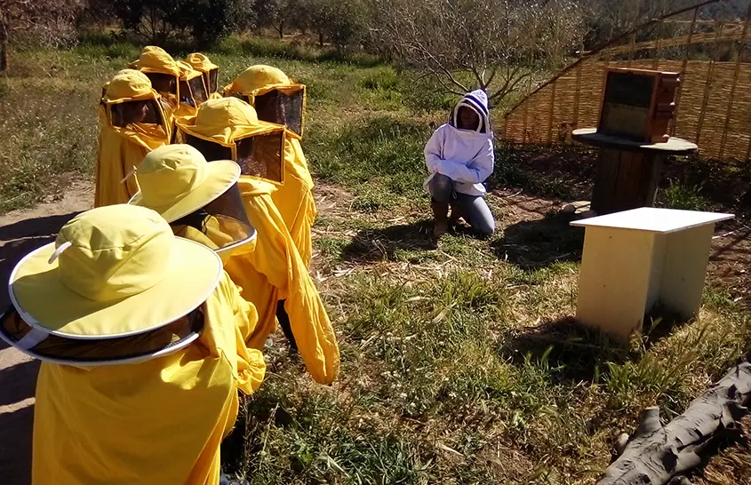 Foto de nenes i nens a l'activitat del món de les abelles a Cal Fèlix
