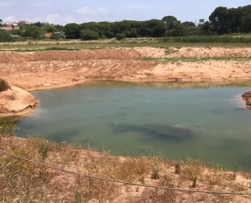 Imatge Plana del Vinyet Riu Gaià