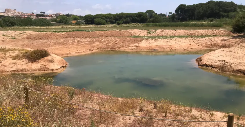 Imatge Plana del Vinyet Riu Gaià