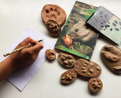 Taller mamífers riu Gaià imatge petjades
