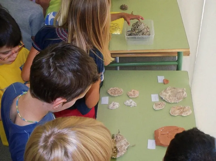 Taller mamífers riu Gaià imatge aula